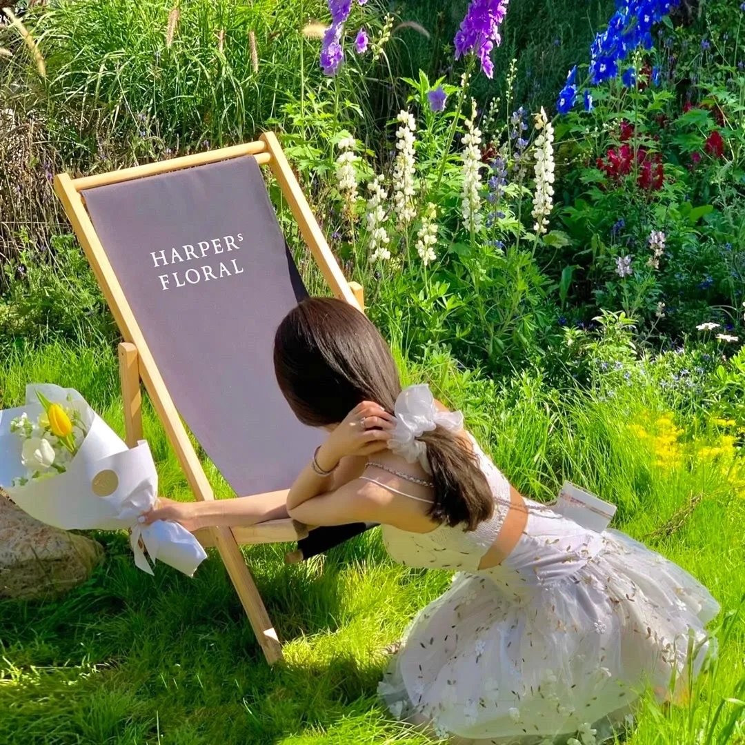 逆鳞：刺王危城